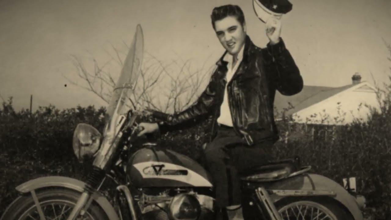The Untold TRUTH of Harley Davidson. #harleydavidson #harleydavidsonlife #motorcycle