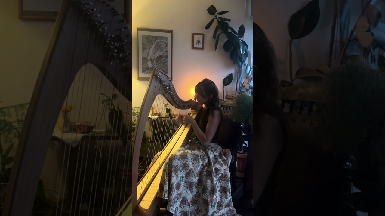 Carolan’s Farewell To Music - Irish Harp Solo