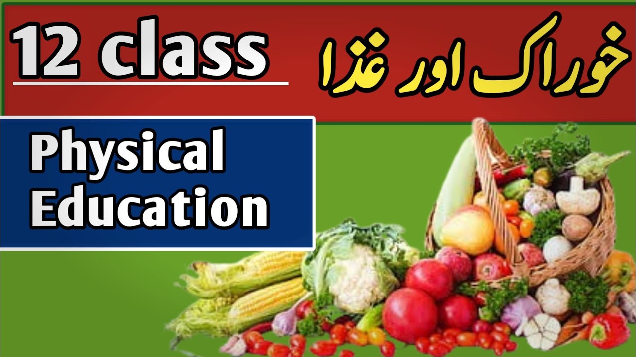 Physical education class 12 