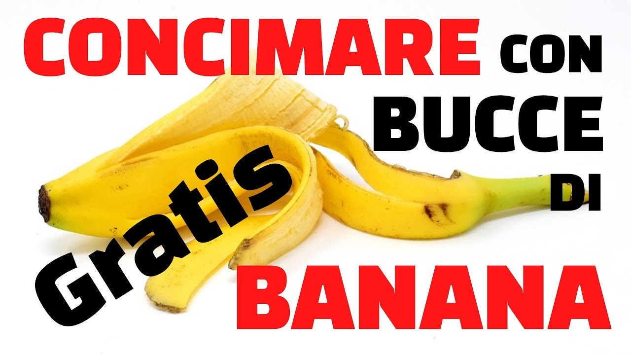 Concimare con le bucce di banana facile e gratis