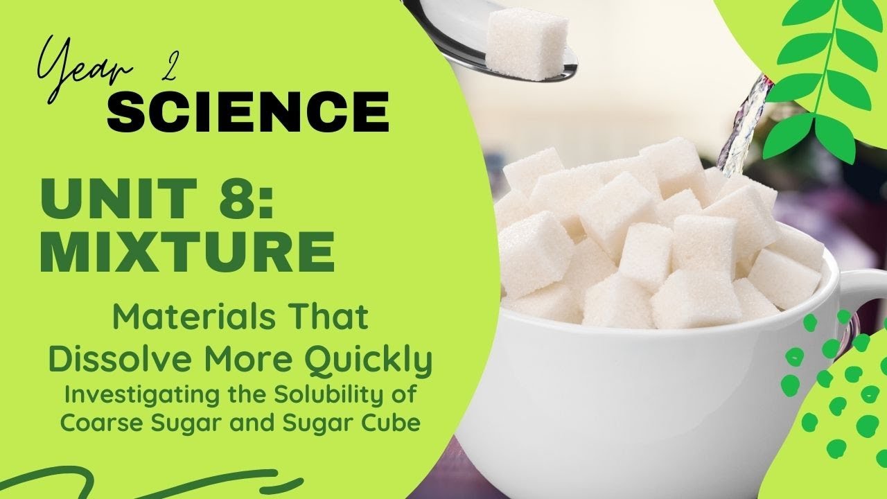 Science Year 2 | Unit 8: Mixture | Topic: Materials That Dissolve More Quickly | Situation 3