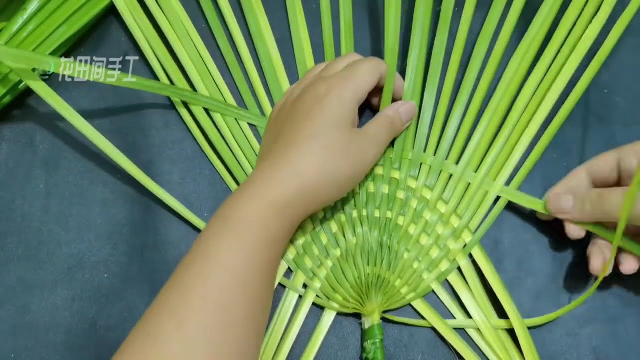 Hướng dẫn đan quạt bằng lá cọ, đan quạt bằng lá thật đẹp!
