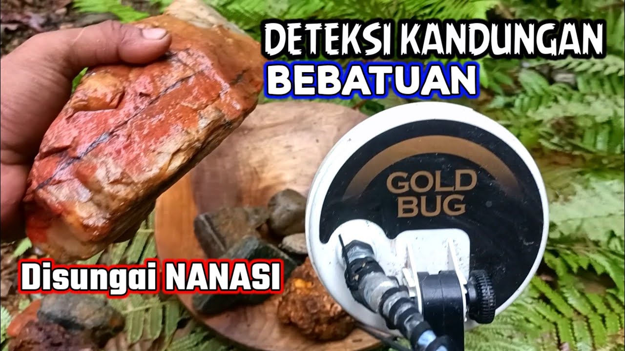 FISHER GOLD BUG PRO Dihadirkan Ke Sungai NANASI Mengecek Kandungan Bebatuan