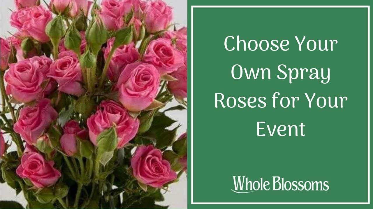 Choose Your Own Spray Roses for Your Event
