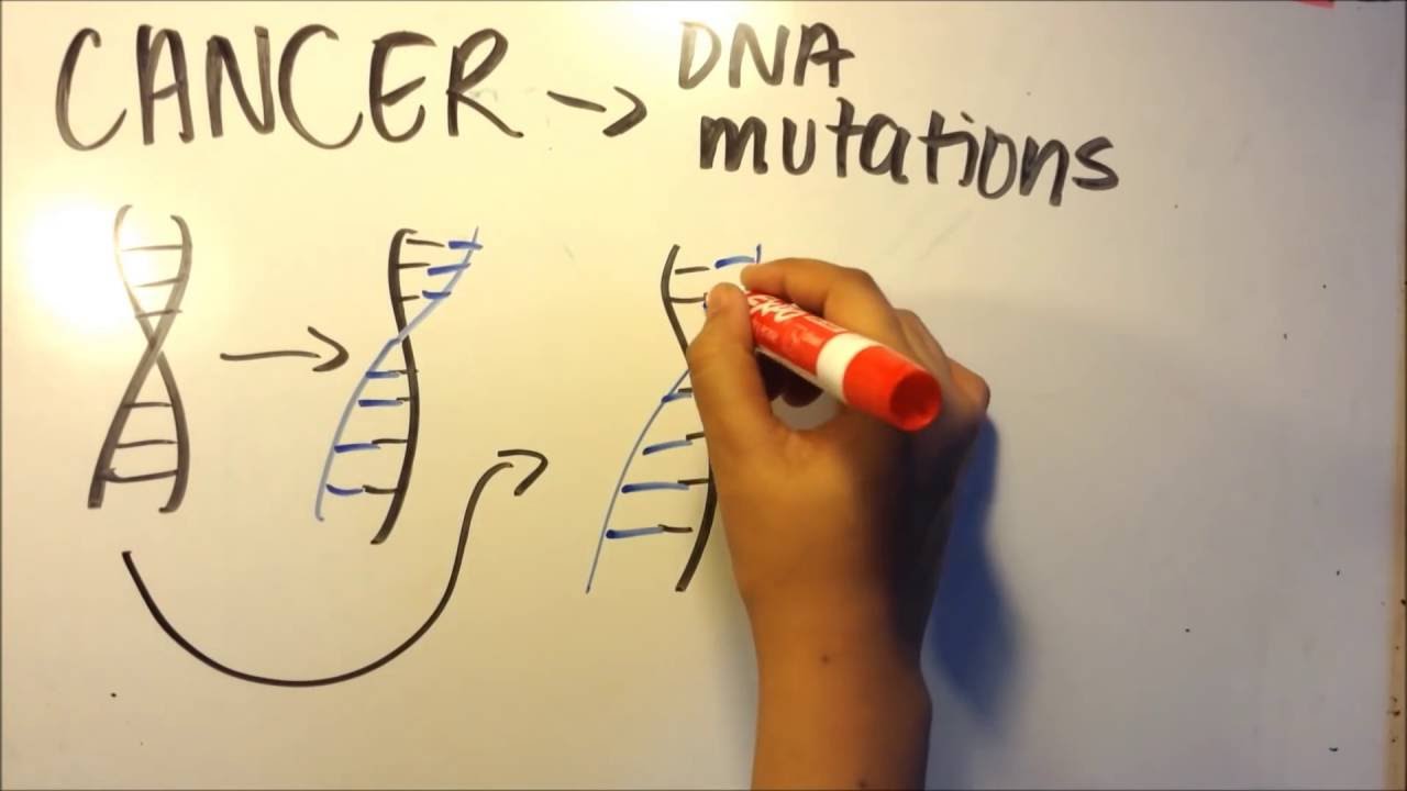 Finalist 2015 Breakthrough Junior Challenge: Ritika Bharati