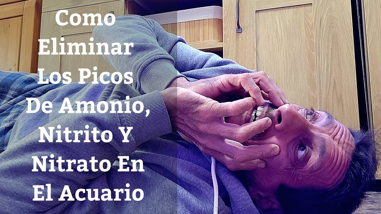 🔵 Como Eliminar Y Prevenir Picos De Amonio,Nitrito O Nitrato En Nuestro Acuario (Acuarios MB)