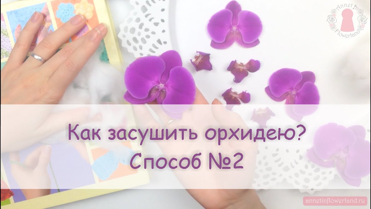 ЮВЕЛИРНАЯ СМОЛА || Как засушить орхидею? Watching Orchids Dry