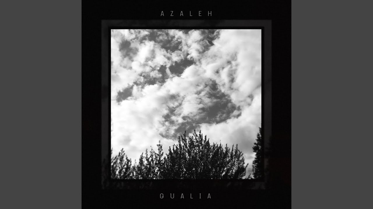 Qualia