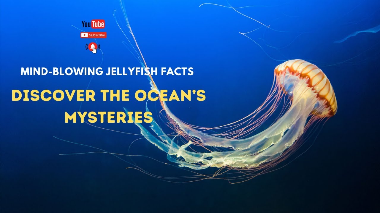 Mind-Blowing Jellyfish Facts | Discover the Ocean’s Mysteries
