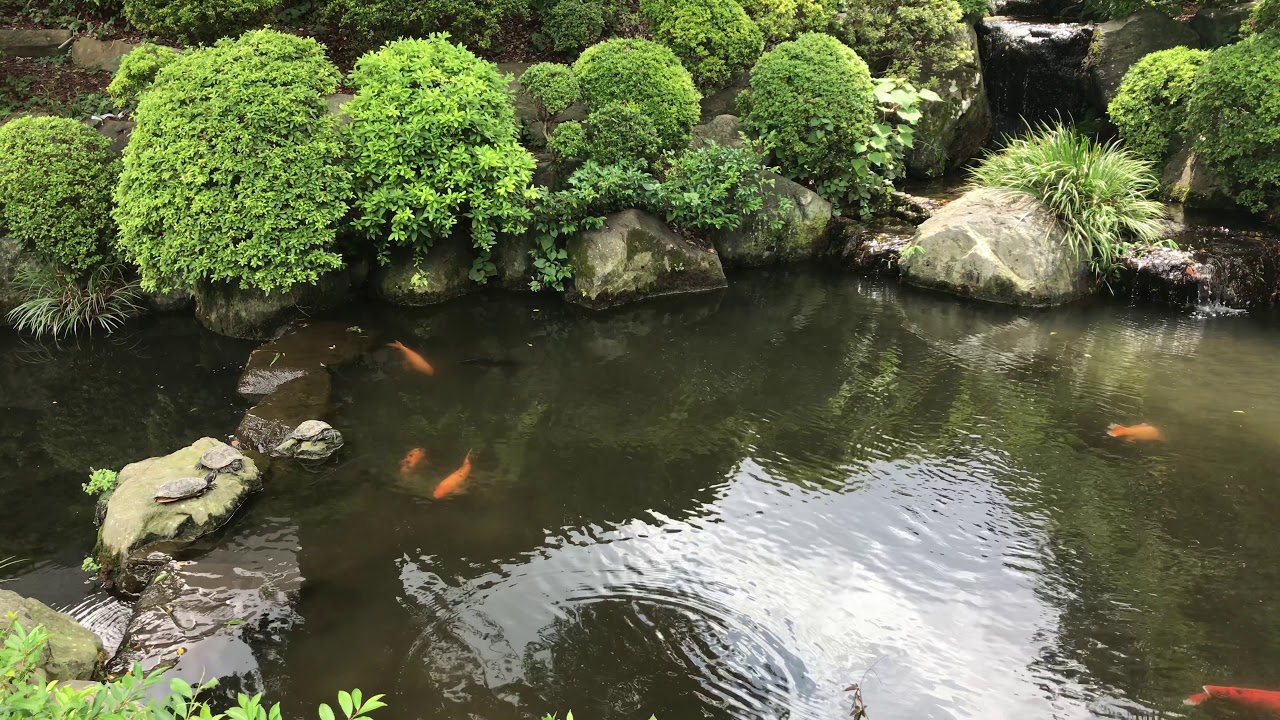 Nezu Shrine