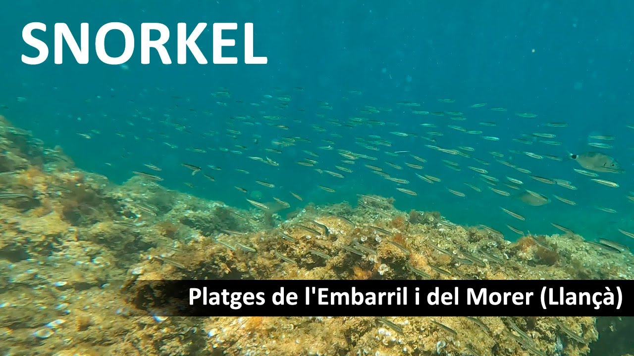 Snorkel - Llançà (II)
