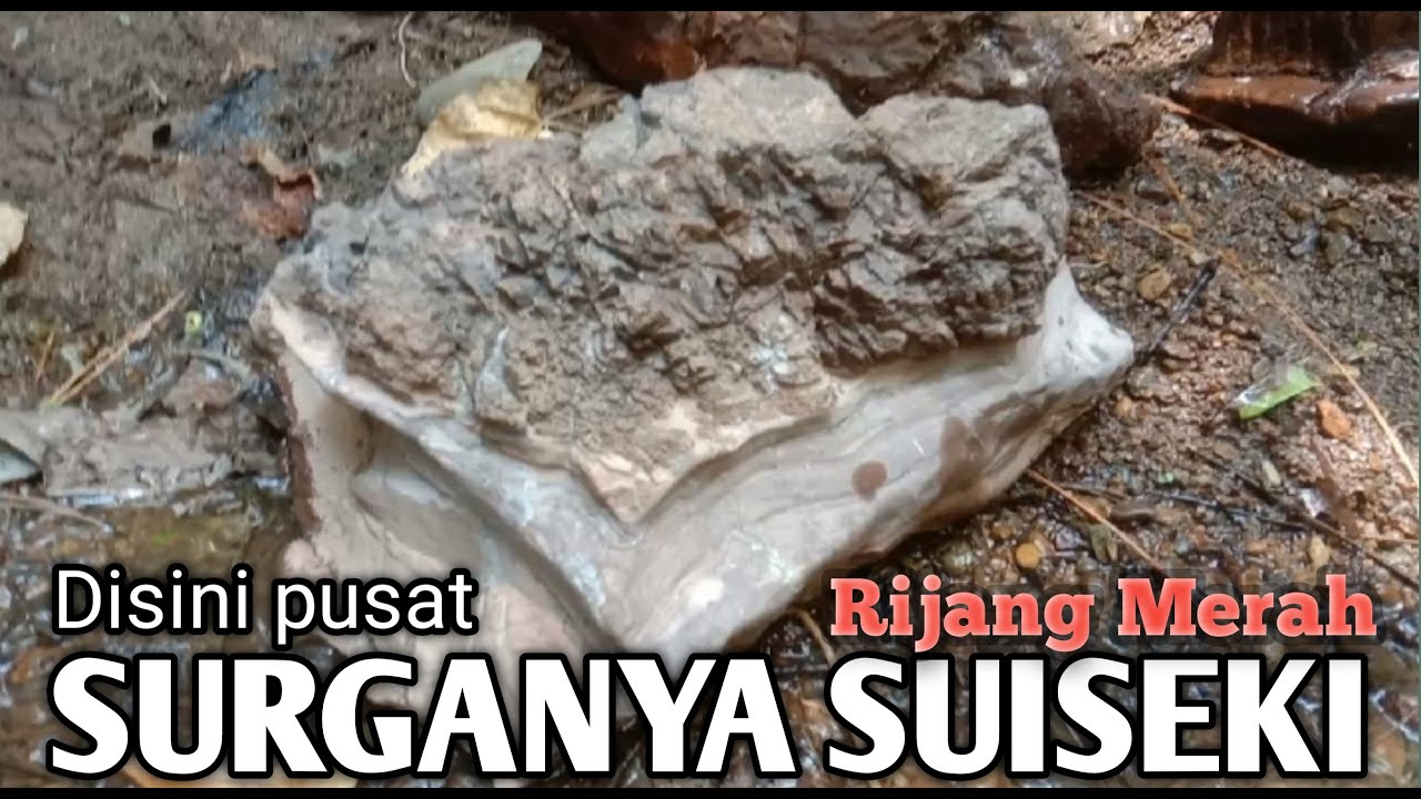 SURGANYA SUISEKI BATU RIJANG DI SINI MELIMPAH RUAH