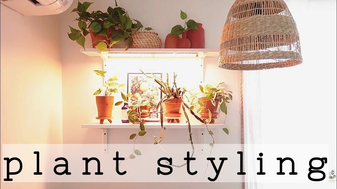 Indoor Plant Styling Part 1