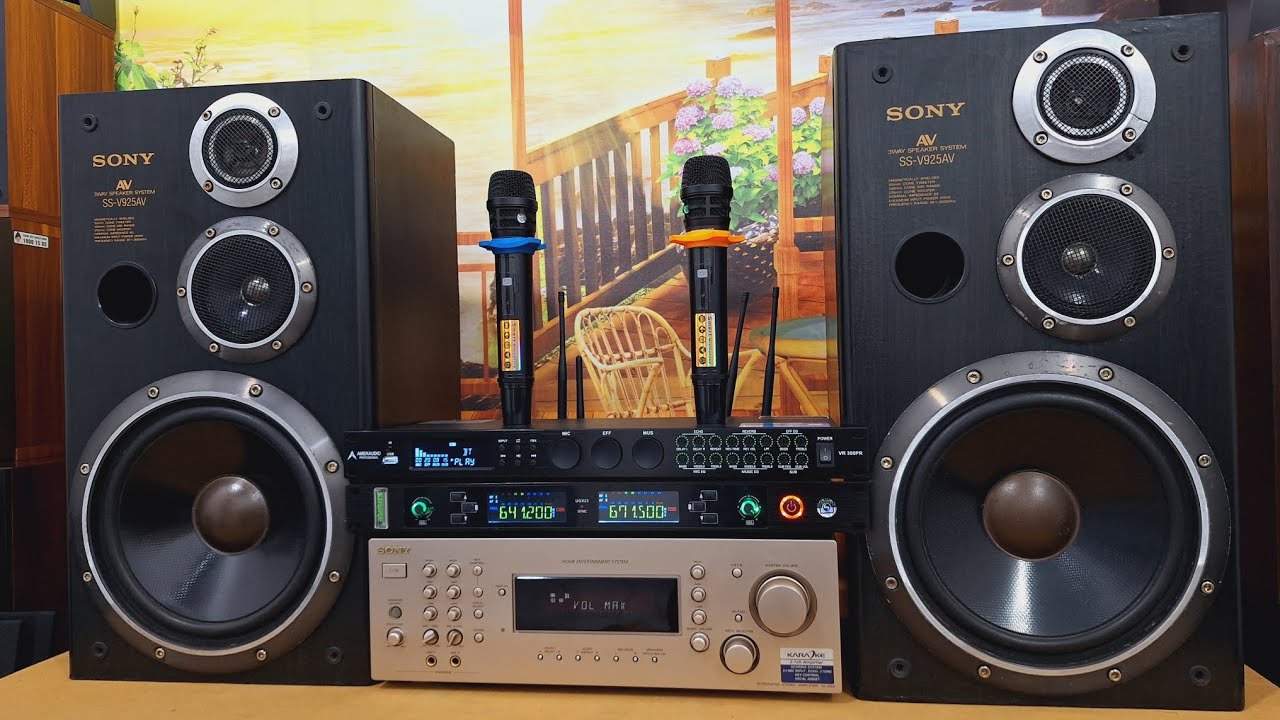 1tr500k loa Sony bass 27cm màng carbon 400w/đôi nghe nhạc karaoke gia đình 0965748574