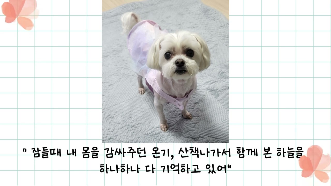 별이
