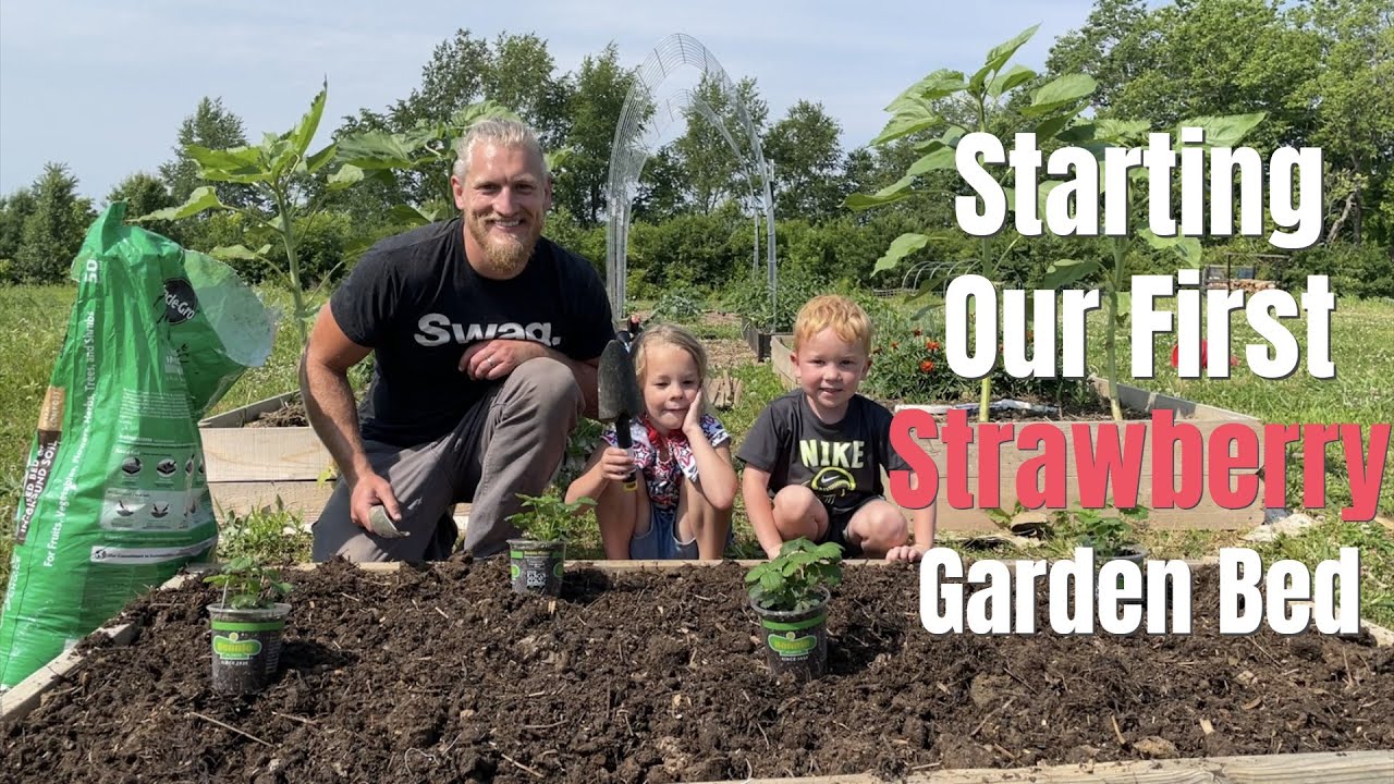 🍓Quick and Easy Raised Bed Prep For Our First Strawberries🍓