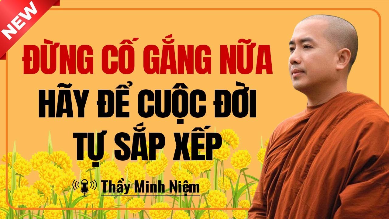 ĐỪNG CỐ GẮNG NỮA Hãy Để Cuộc Đời Tự Sắp Xếp | Thầy Minh Niệm