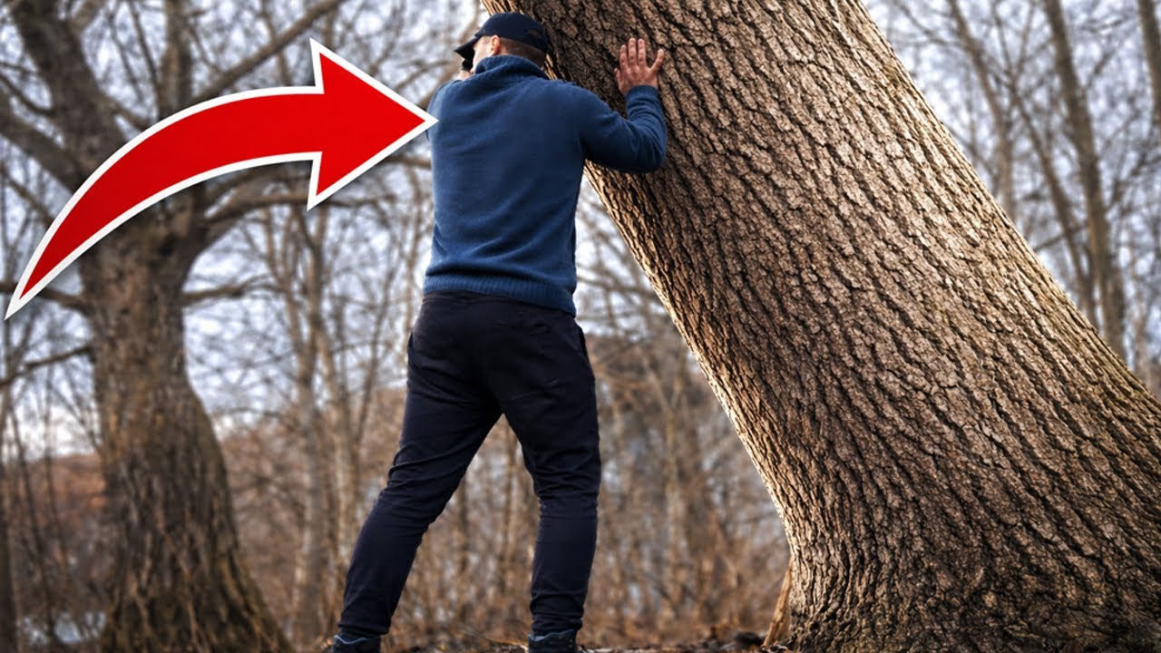 Balkan Winter Woodcutting | Chainsaw & Axe