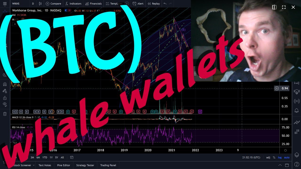 BTC whale wallets sell off