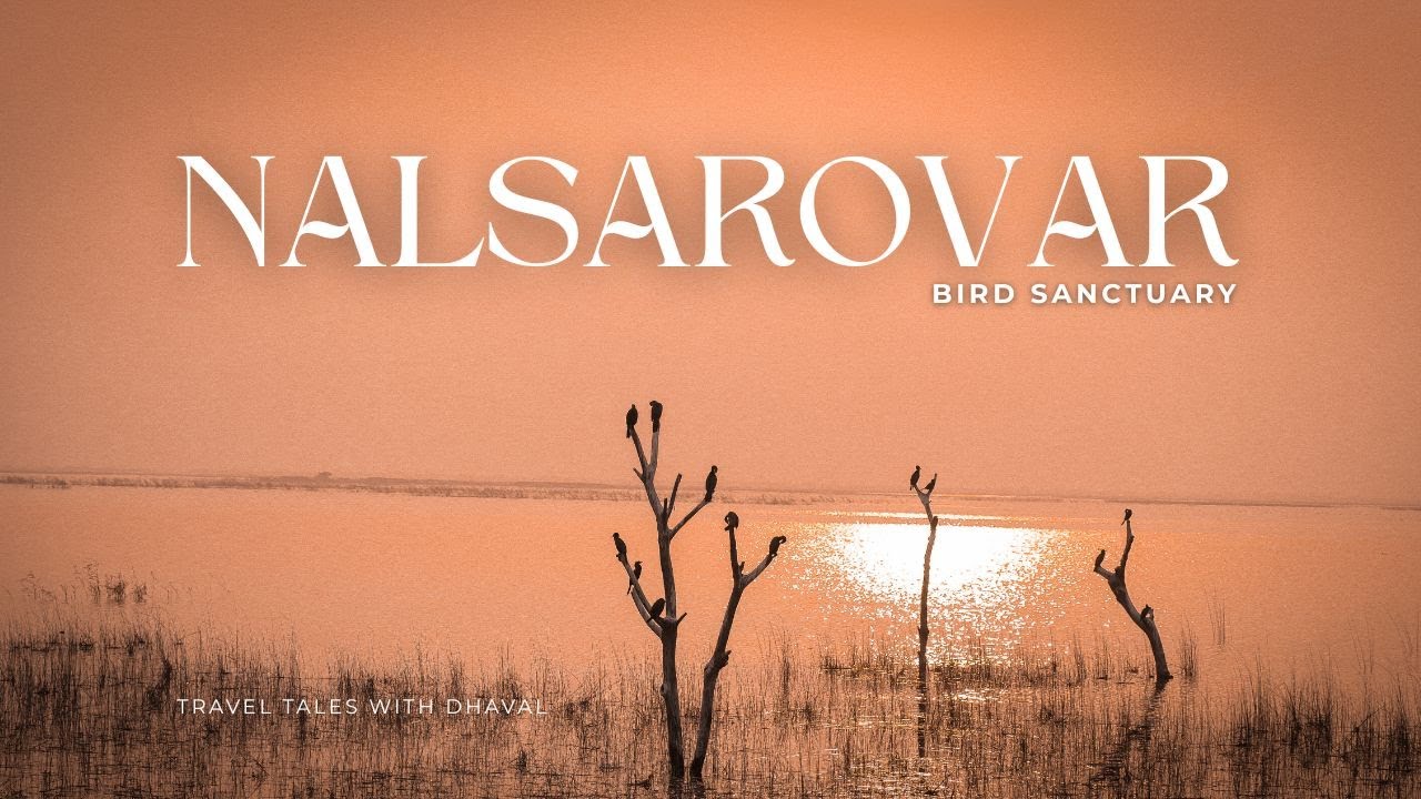 Nal Sarovar Bird Sanctuary | Best Place to Visit near Ahmedabad | Nal Sarovar Boating #nalsarovar