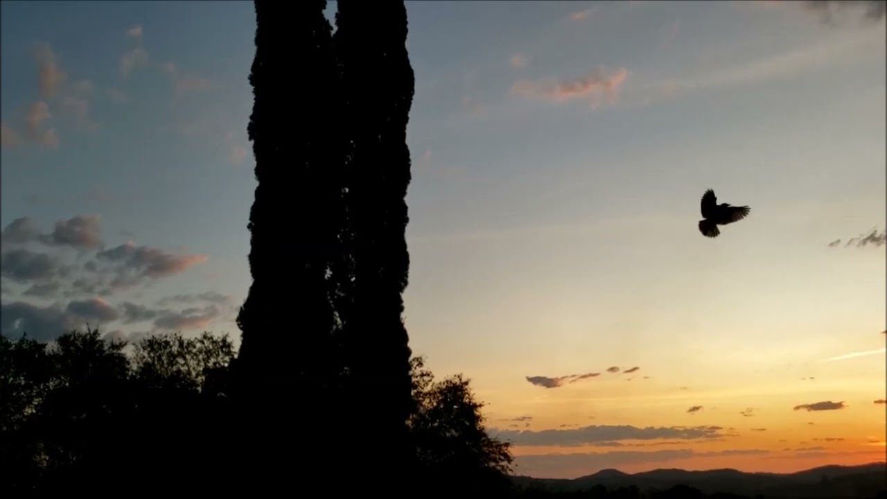 Archie Shepp-Roswell Rudd Quartet with Amiri Baraka, Rome (2004)