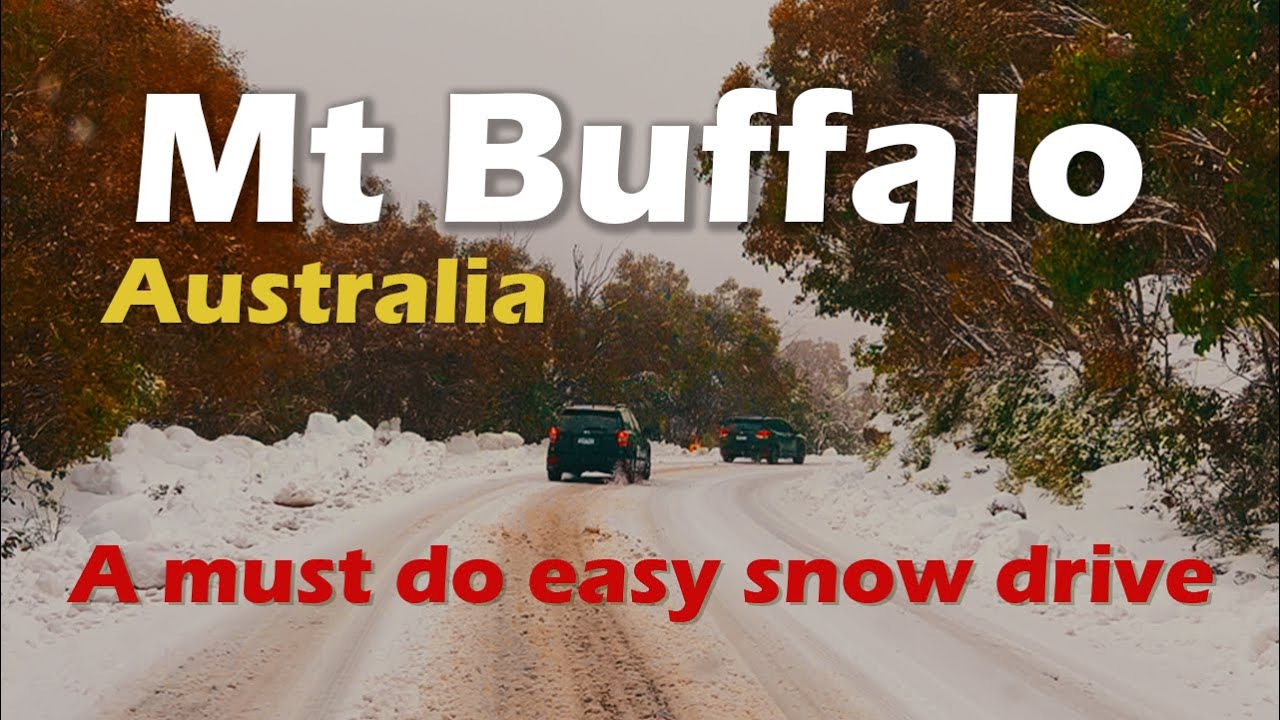 Mt Buffalo -Easy Snow Drive- 4hrs from Melbourne 4K | Orayans Australia