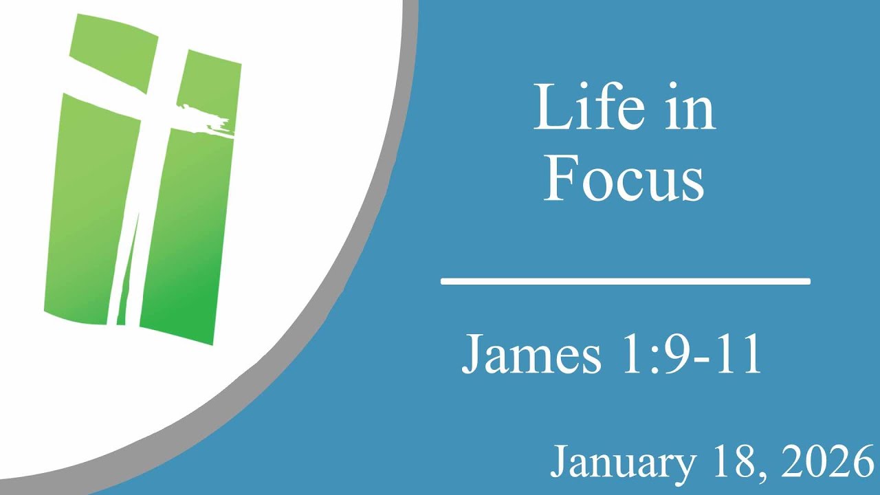 Life in Focus