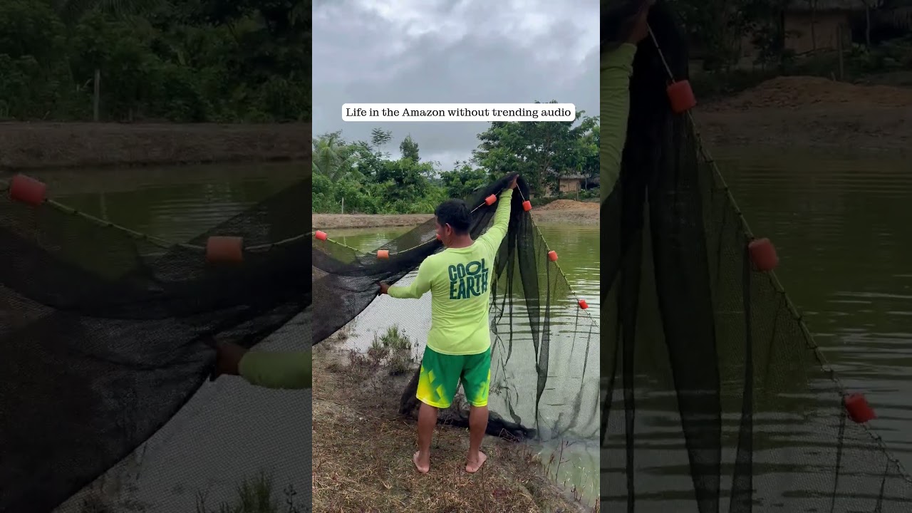 Sounds of the Peruvian Amazon. 🌳