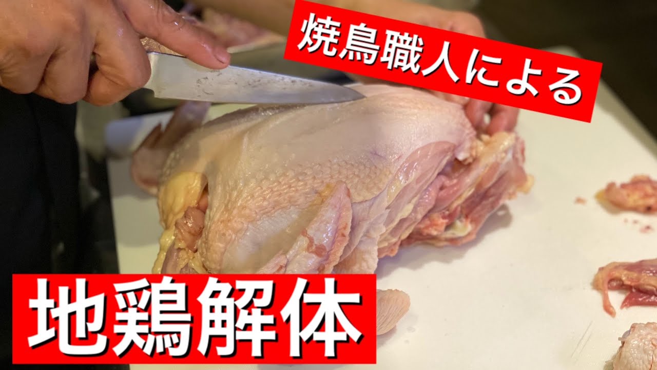 【前編】焼鳥一筋20年のプロが鶏一羽を解体！焼鳥に使われる部位について解説します。
