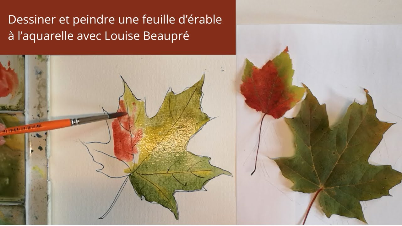 Dessiner et peindre une feuille d'érable à l'aquarelle avec Louise Beaupré