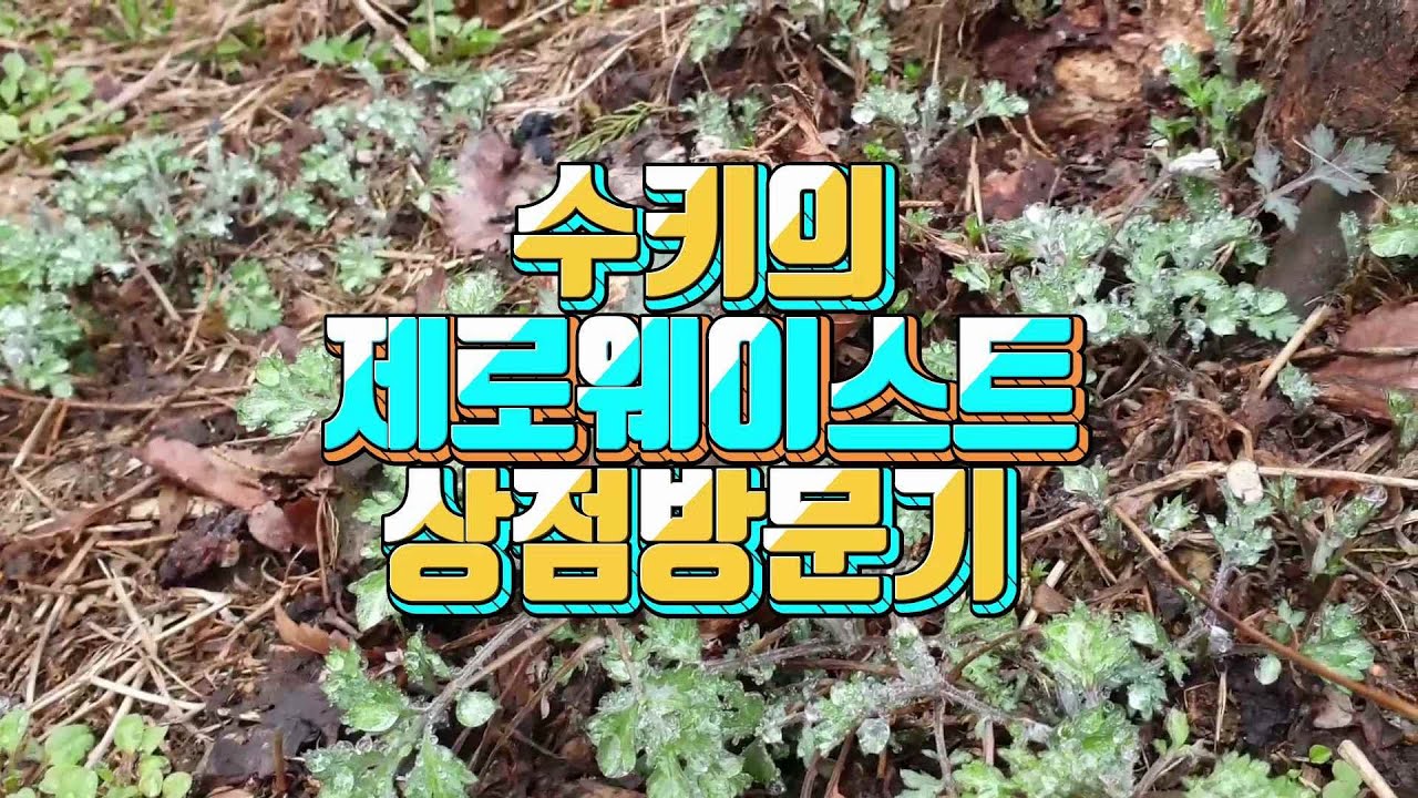 수키의 제로웨이스트 상점 방문