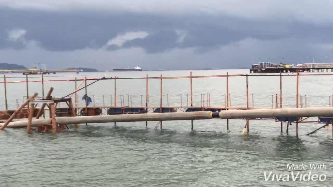 Pulling pipeline sub-sea #Pipeline