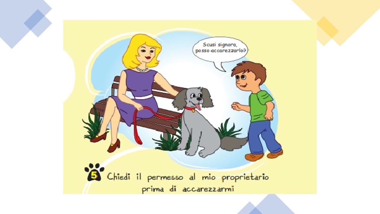 Consigli approccio al Cane