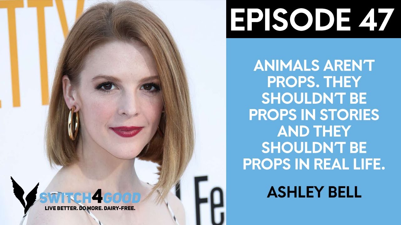 The Truth About Elephant Exploitation With Ashley Bell of Love and Bananas|Switch4Good Podcast Ep47