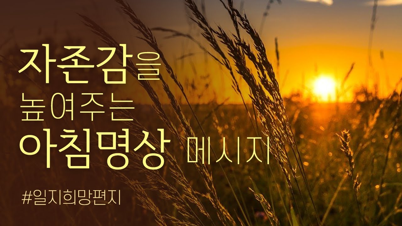 🍀 일지희망편지 📧 아침 명상하기 좋은글 | 자존감을 높이는 말, 명언 | 일지희망편지 모음