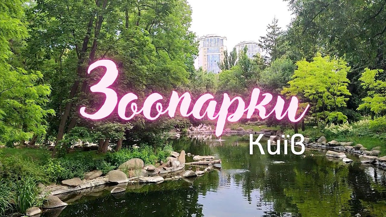 Куди сходити в Києві? Київський зоопарк // Зоопарк 12 місяців