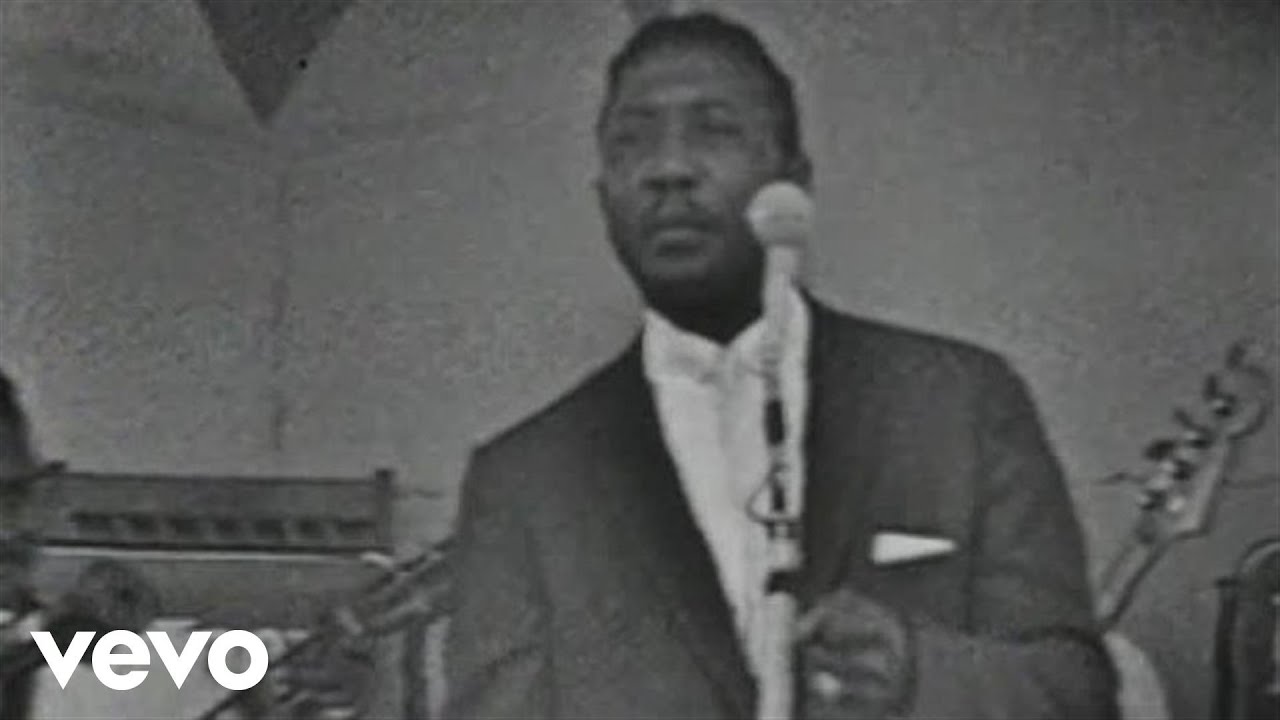 Muddy Waters - Got My Mojo Working (Live)
