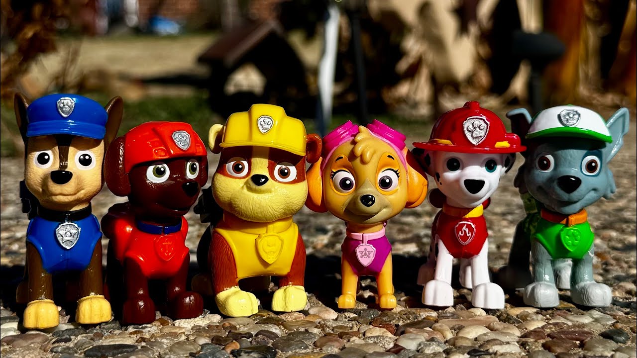 Paw Patrol Pups Play Hide and Seek - Paw Patrol Toys