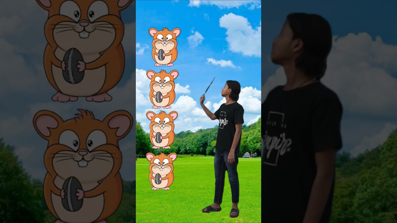 VFX Makes These Funny Animal Videos Even Better!