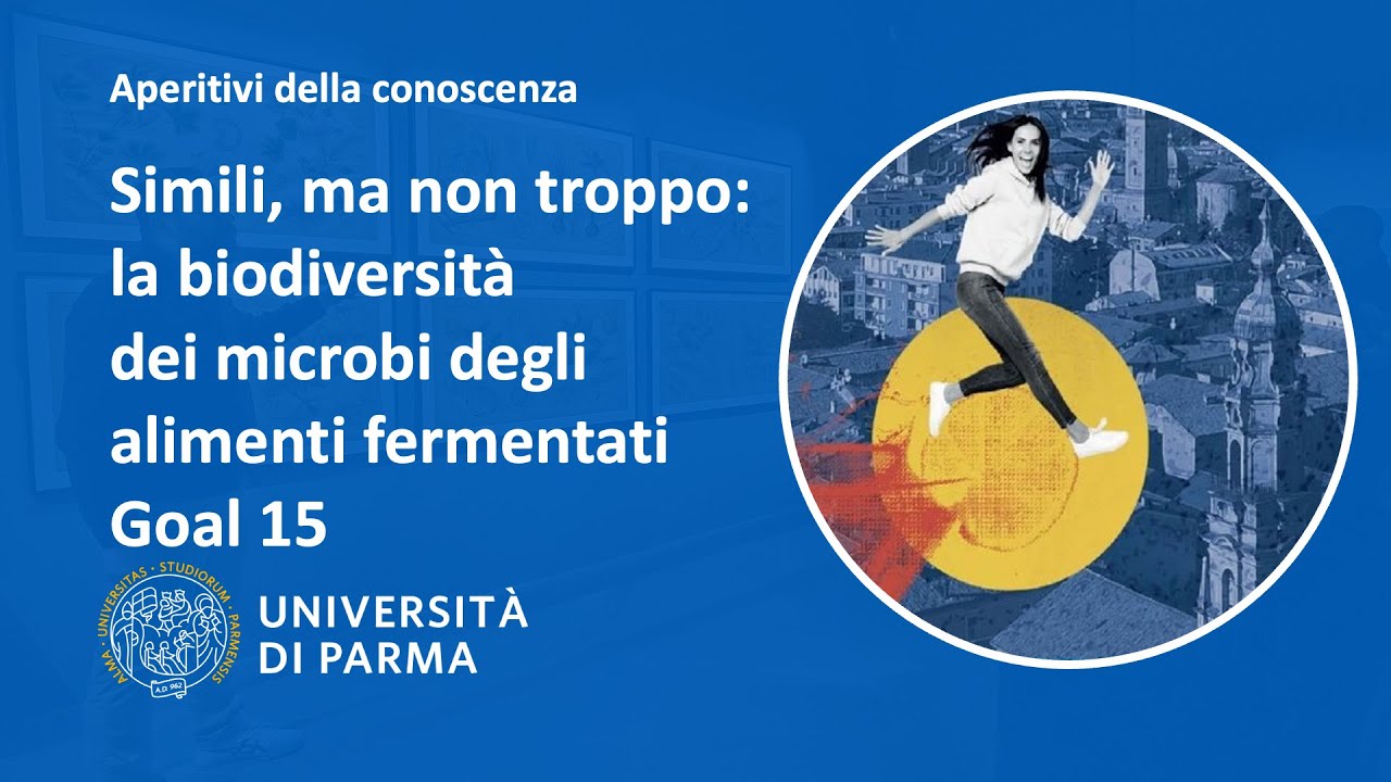 Simili, ma non troppo: la biodiversità dei microbi degli alimenti fermentati - Goal 15