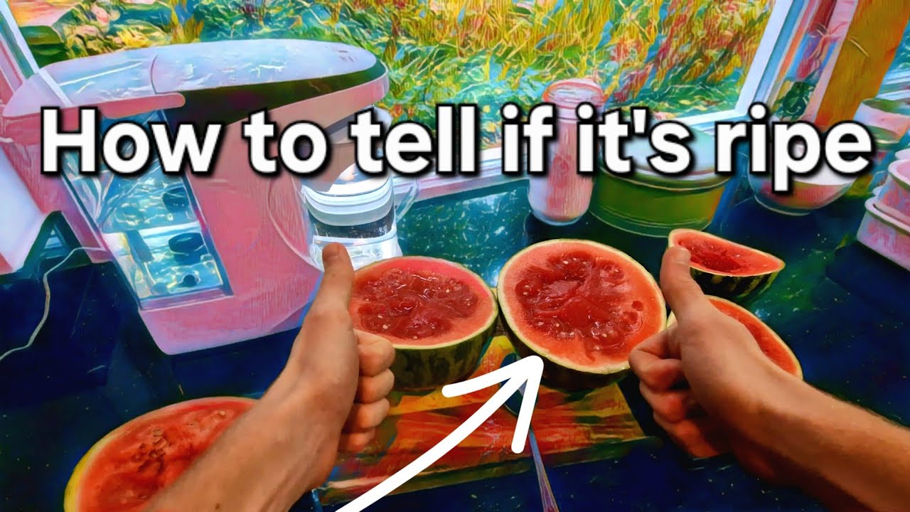 How to pick a ripe watermelon