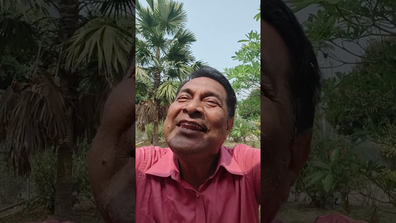 Mamar Barhi je ,anek ta dur/Sunil Gongopadhay 