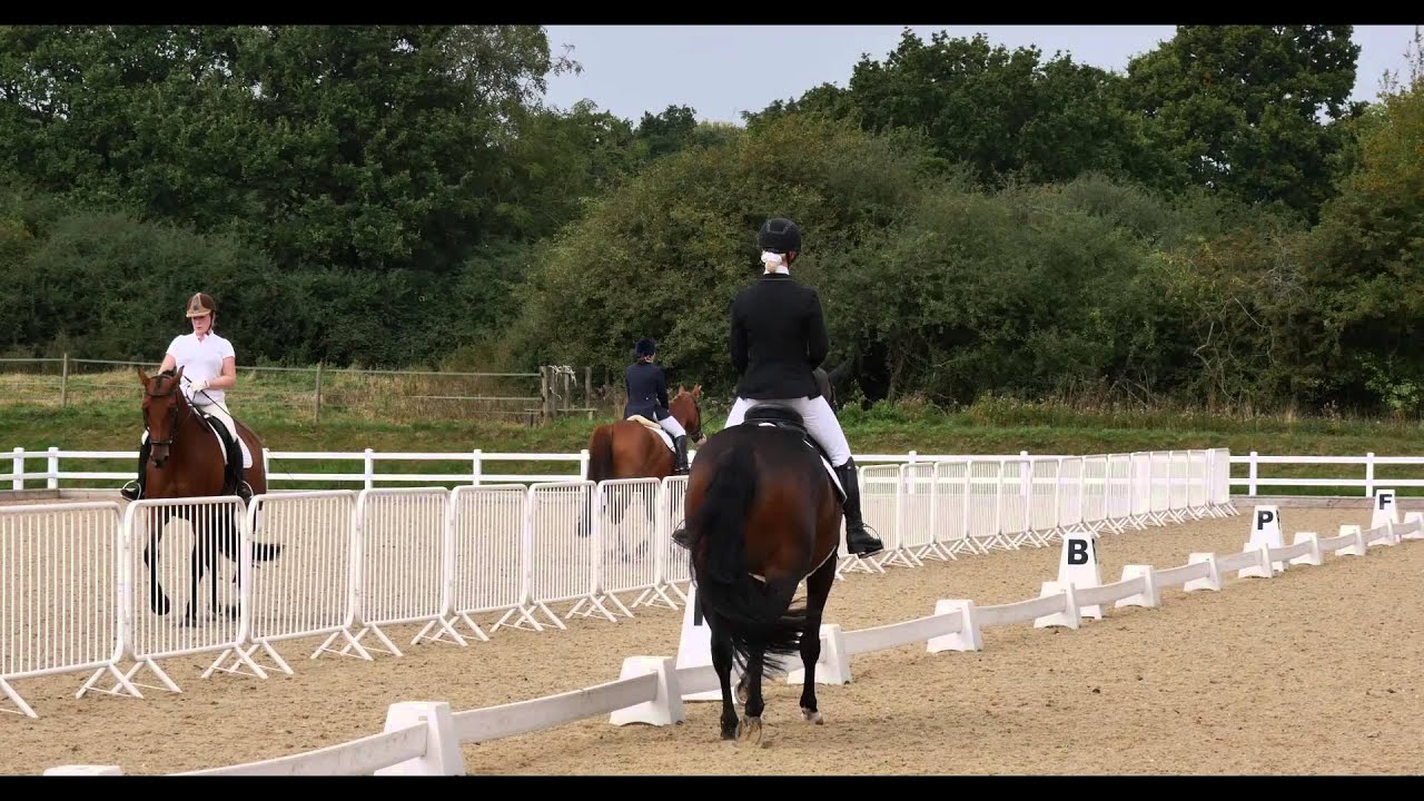 Novice 38 78% Brook Farm EC