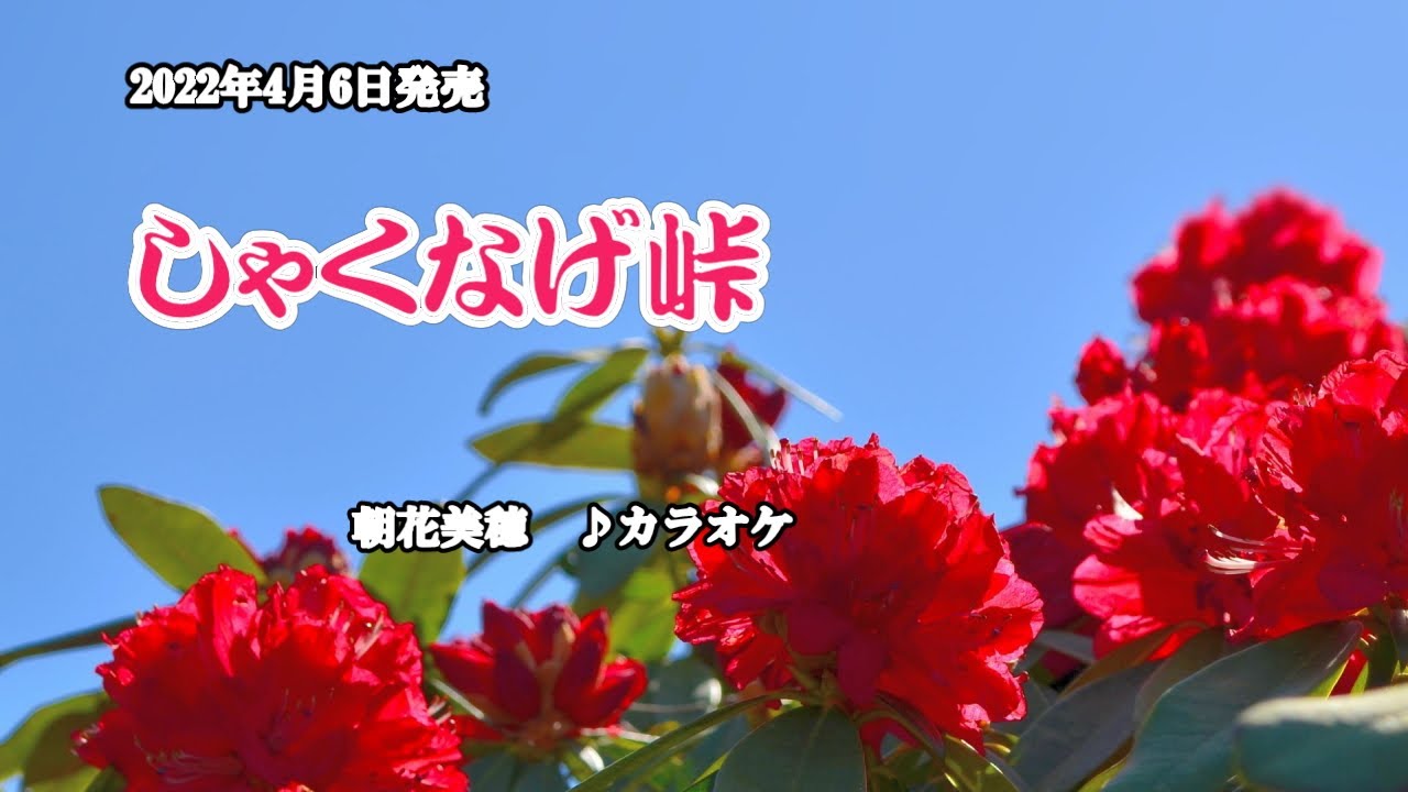 『しゃくなげ峠』朝花美穂　カラオケ　2022年4月6日発売