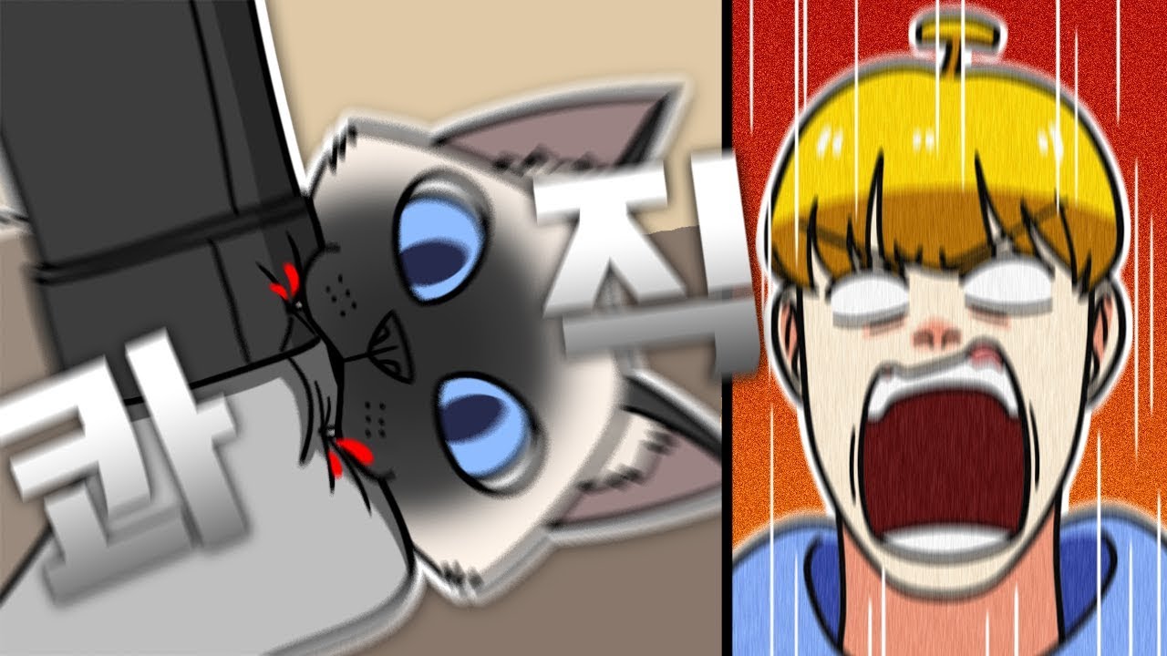 【김뚜띠】 지누 집 가서 뿌요(고양이)한테 물린 썰