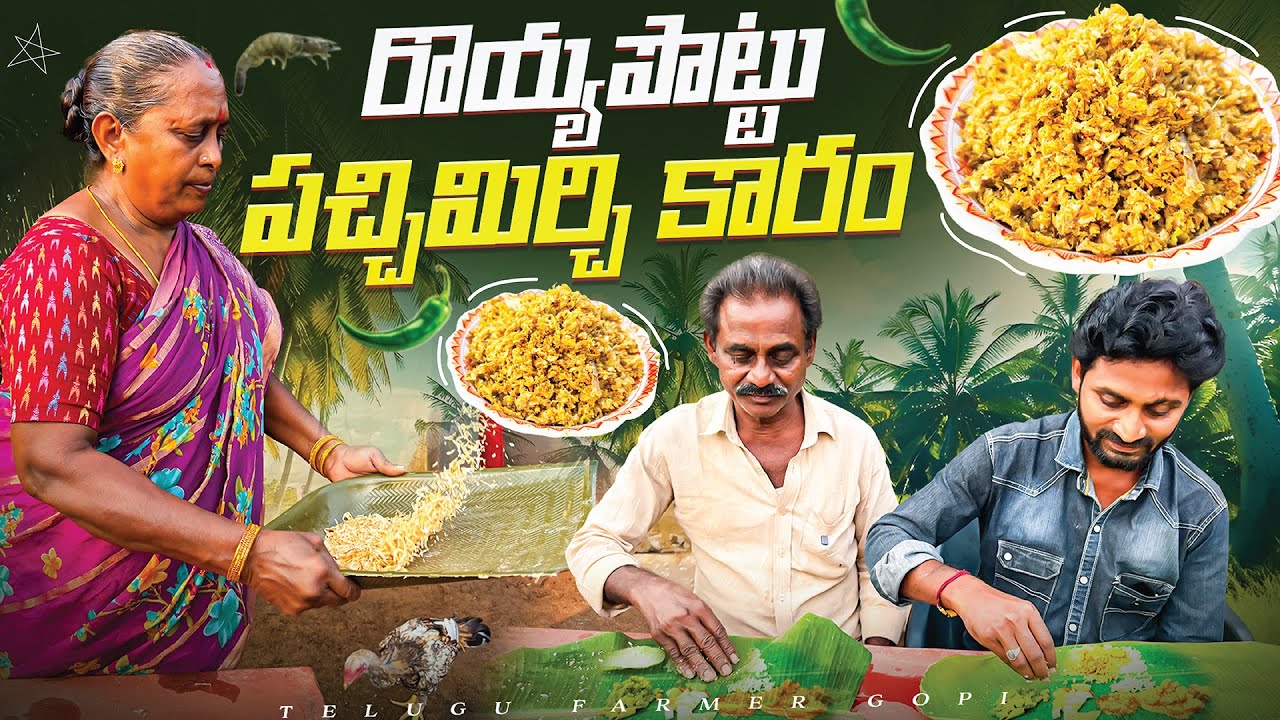 పచ్చిమిర్చి రొయ్యపొట్టు కారం || Green Chilly With Prawn Powder ||@telugufarmergopi 