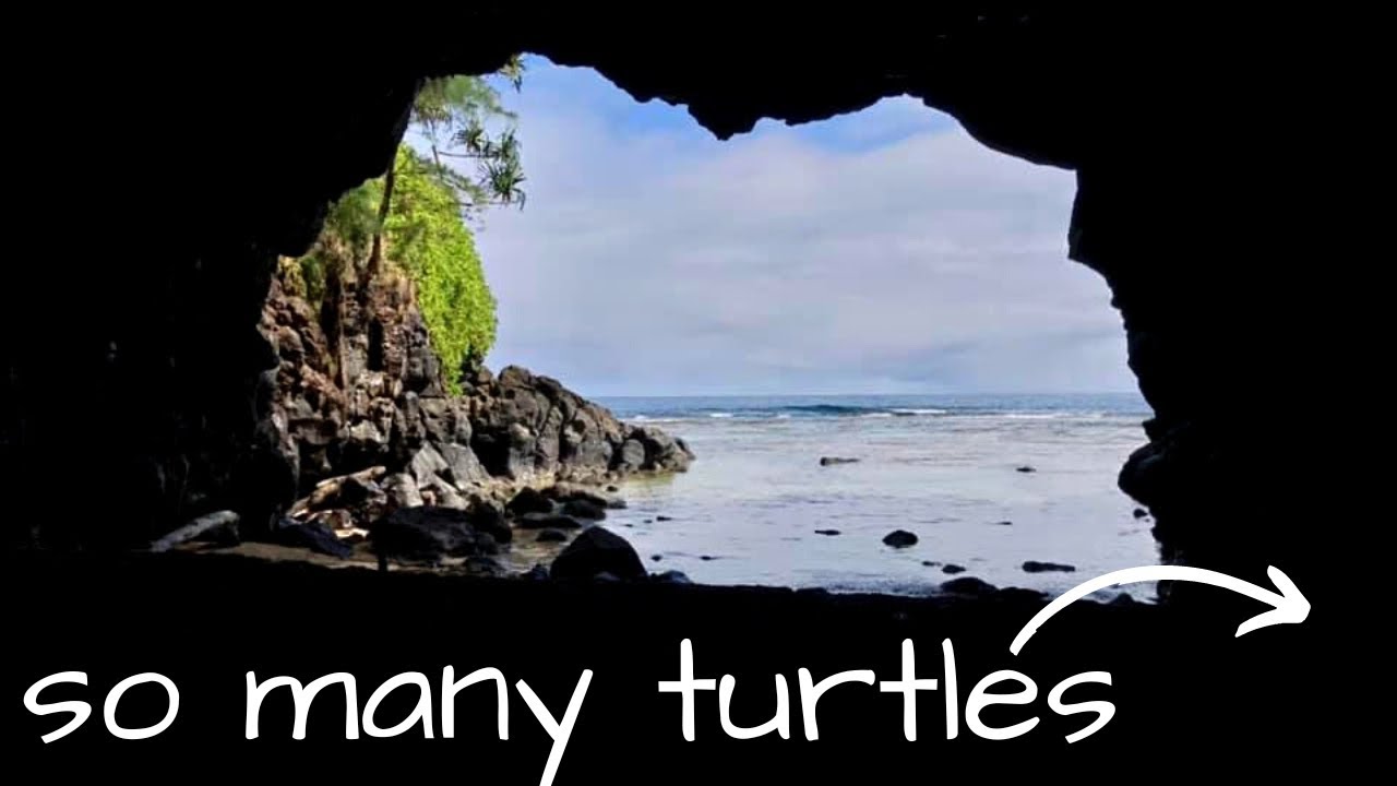 We found a SECRET Cave in Kauai Hawaii | Turtle Cove | Princeville Turtle Cave full of sea turtles