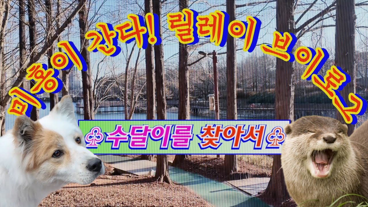 김제 수변공원에는 OO이 산다!?