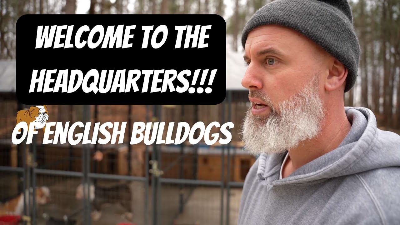 The Top bulldog headquarters in the world!!!!!