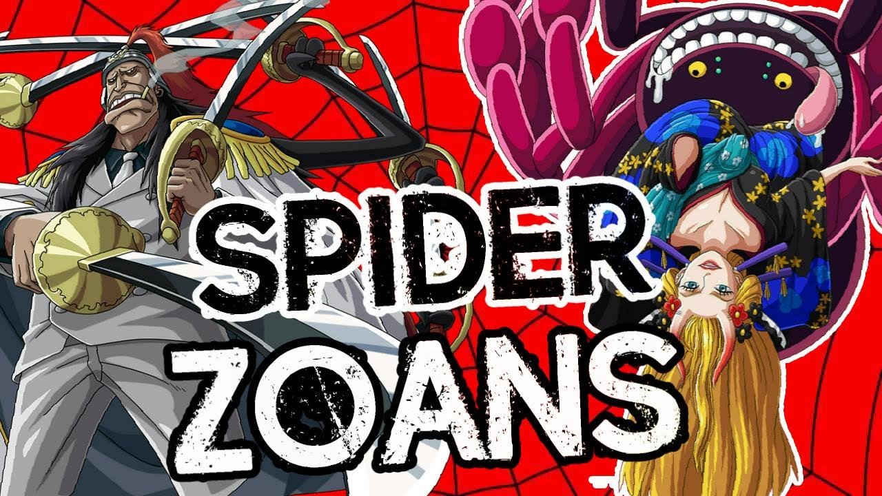 🕷️ SPIDER ZOANS In One Piece!! 🕷️